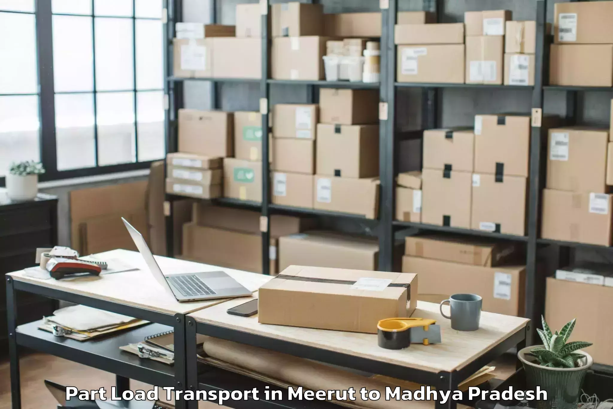 Reliable Meerut to Guna Airport Gux Part Load Transport